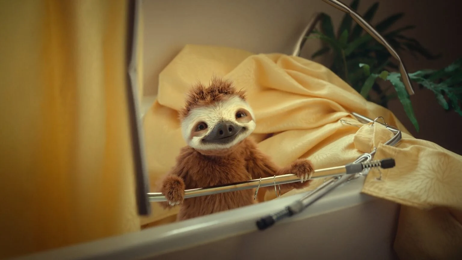 Coop Sloth